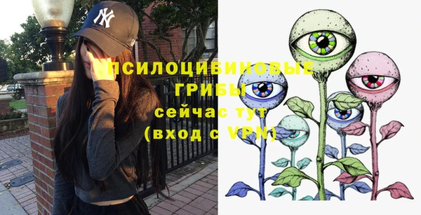 эйфоретик Алексин
