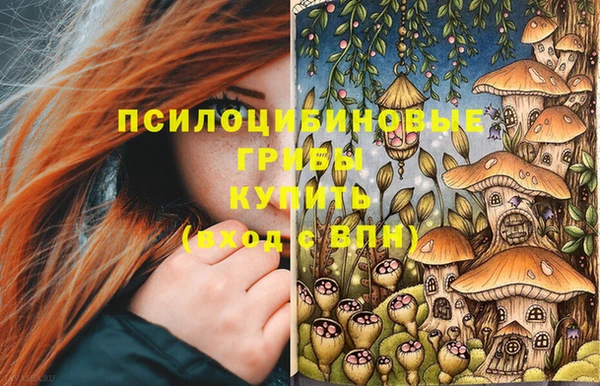 эйфоретик Алексин