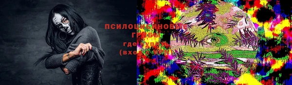 эйфоретик Алексин