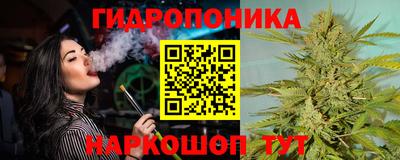 винт Кингисепп