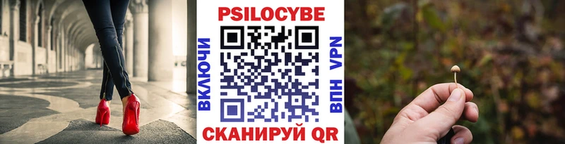 Псилоцибиновые грибы MAGIC MUSHROOMS  сколько стоит  darknet Telegram  Луга 