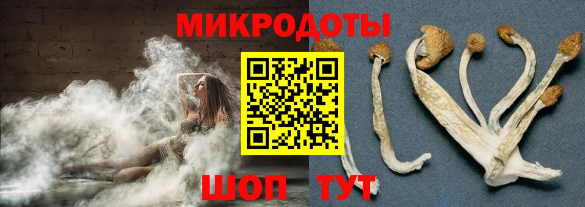 Псилоцибиновые грибы мицелий Луга