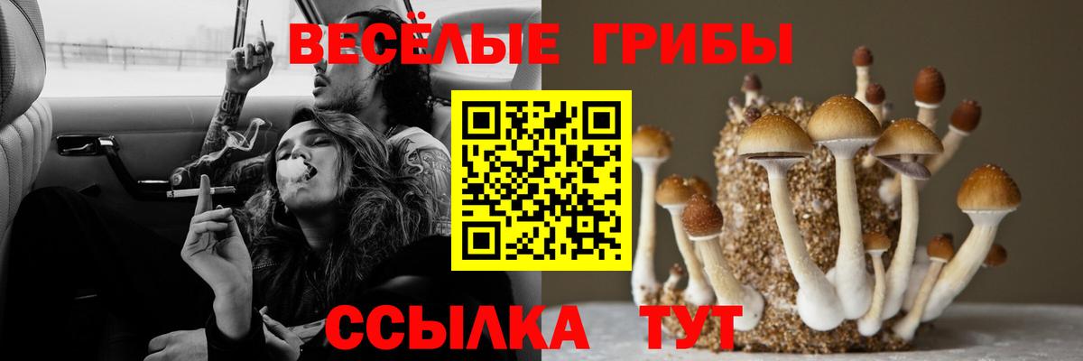 Луга  Галлюциногенные грибы Psilocybine cubensis  Псилоцибиновые грибы Magic Shrooms  Вход с VPN 
